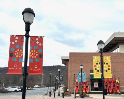 Pole Banners Photo